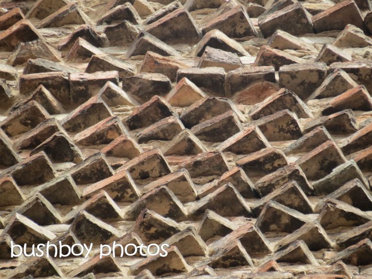 brick wall_bologna_named_oct 2015
