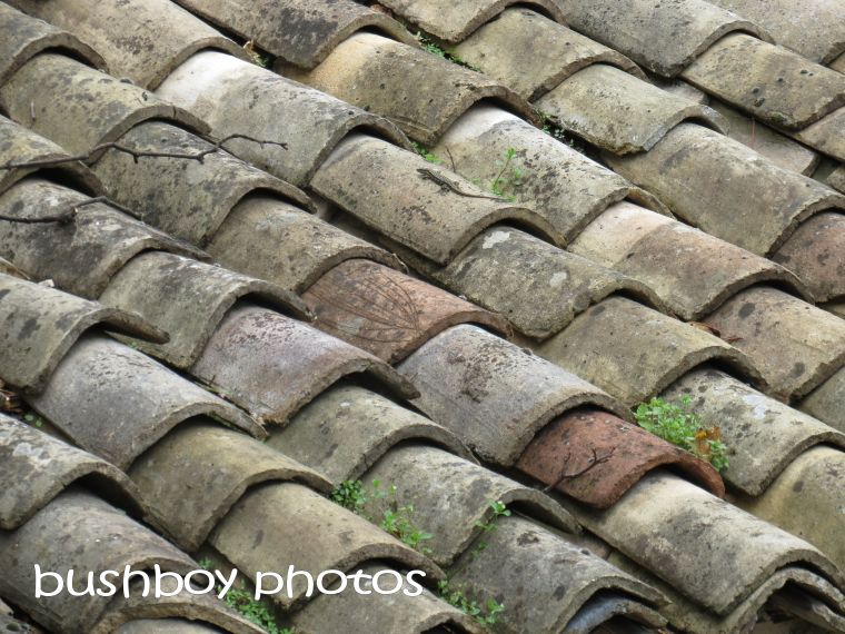 roof tiles_baume_named_oct 2015
