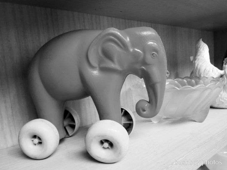 blog_black and white_elephant