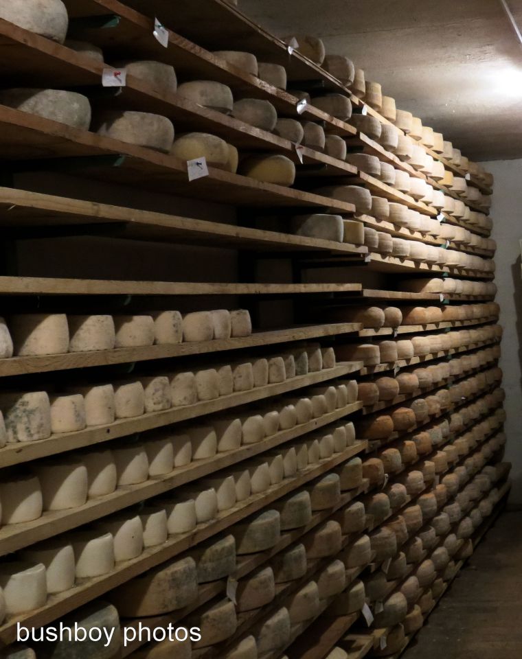 room of cheese