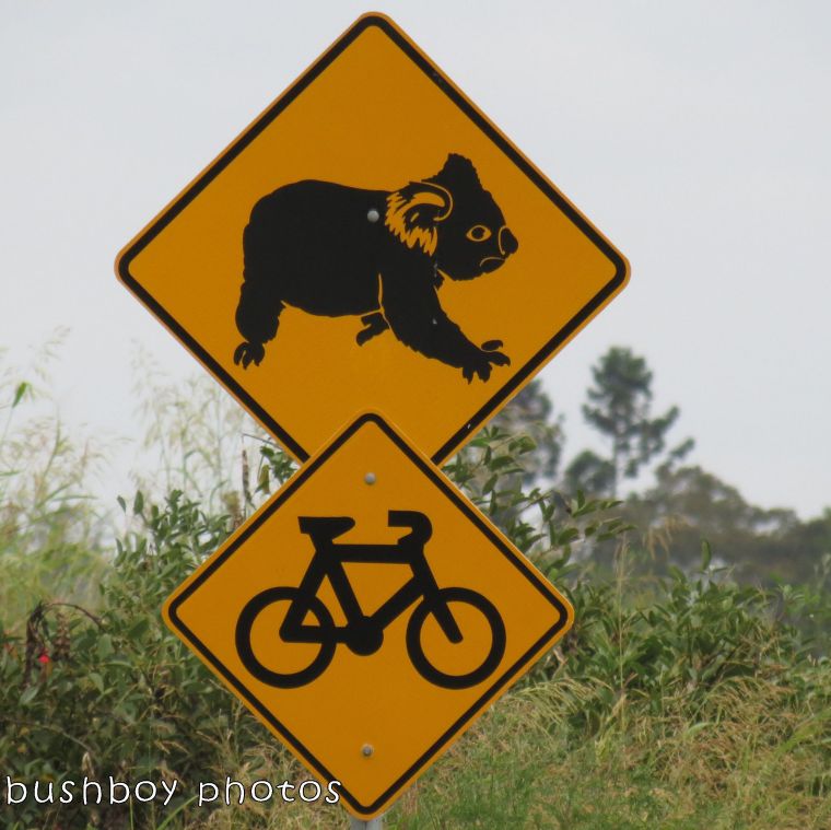 road signs_koala