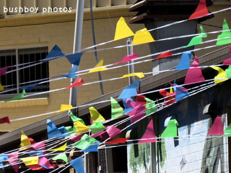 180531_blog challenge_flags_banners_bunting1_lismore