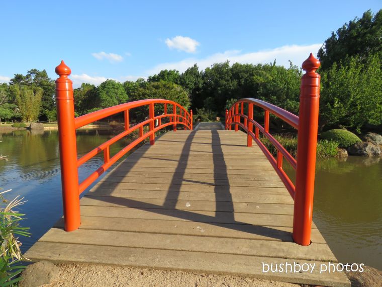 190314_blog_challenge_which_way_toowoomba_japanese_garden_bridge