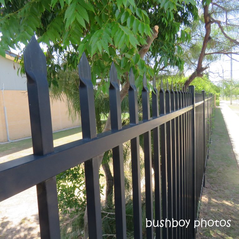 190316_spiky_square_fence_school
