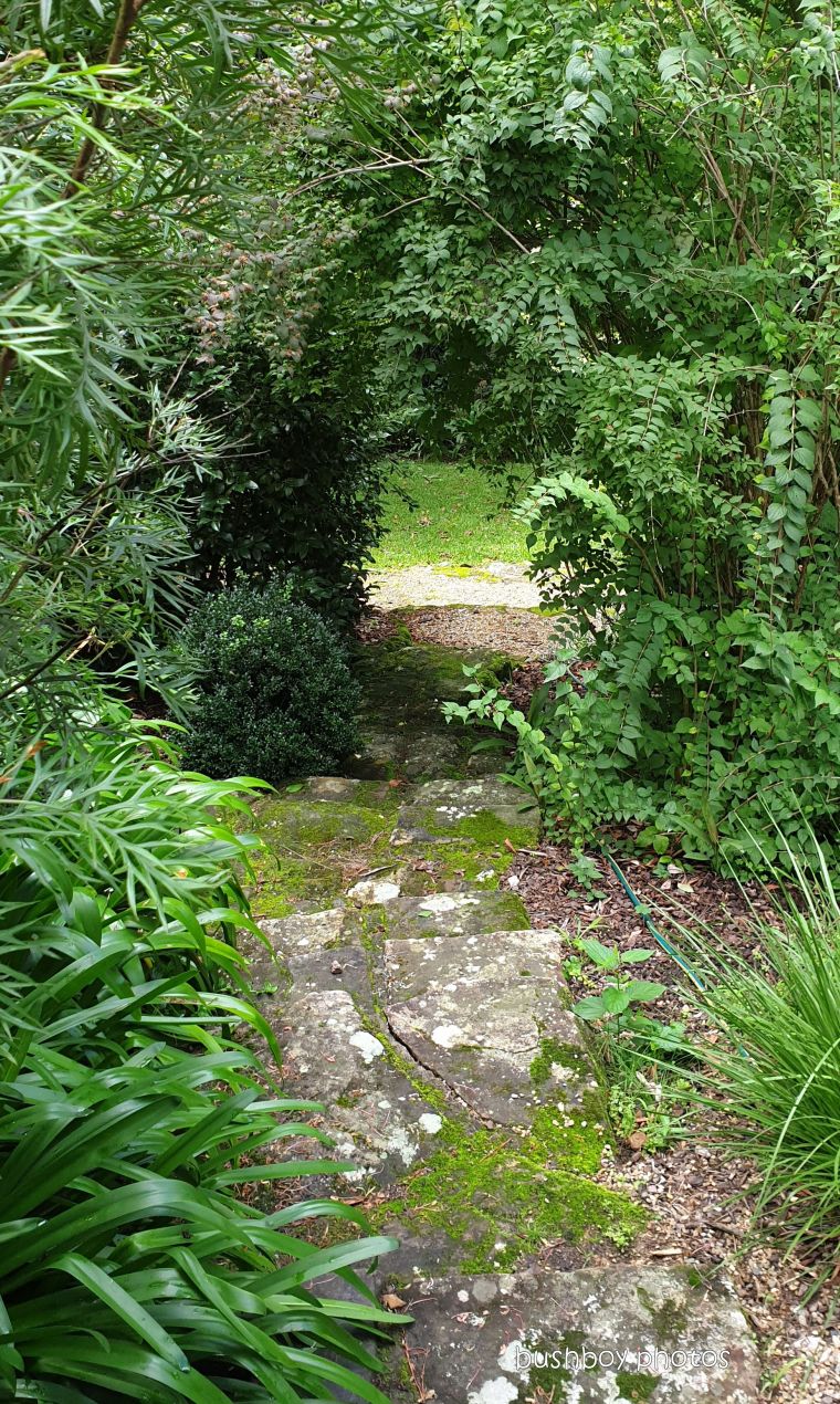 190410_blog_challenge_which_way_springwood_garden2
