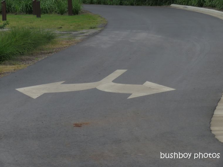 190425_blog_challenge_which_way_road_marker_arrow_double