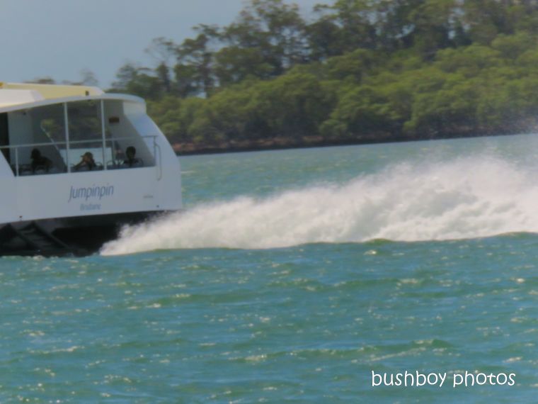 ferry_fast_named_macleay_island_march 2019
