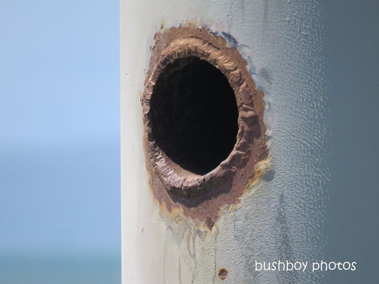 rust_hole_pier_named_macleay_island_march 2019