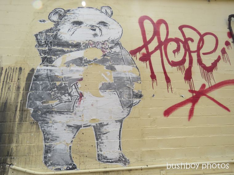 street_art2_bear_named_toowoomba_jan 2019