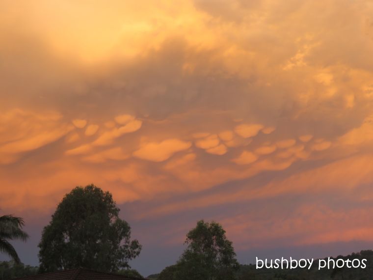 clouds_lumpy_sunset_named_caniaba_may 2019