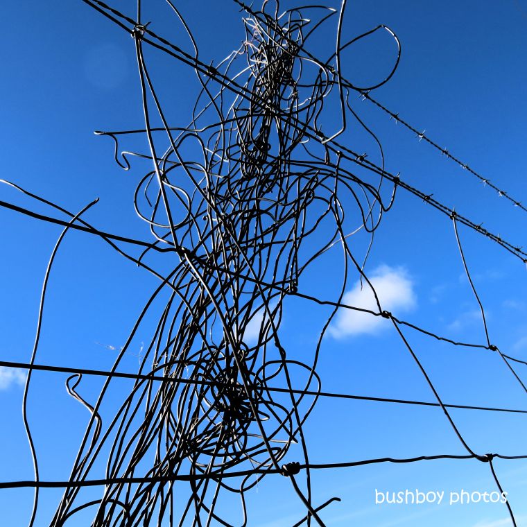 190701_blog_challenge_blue_tangled_wire