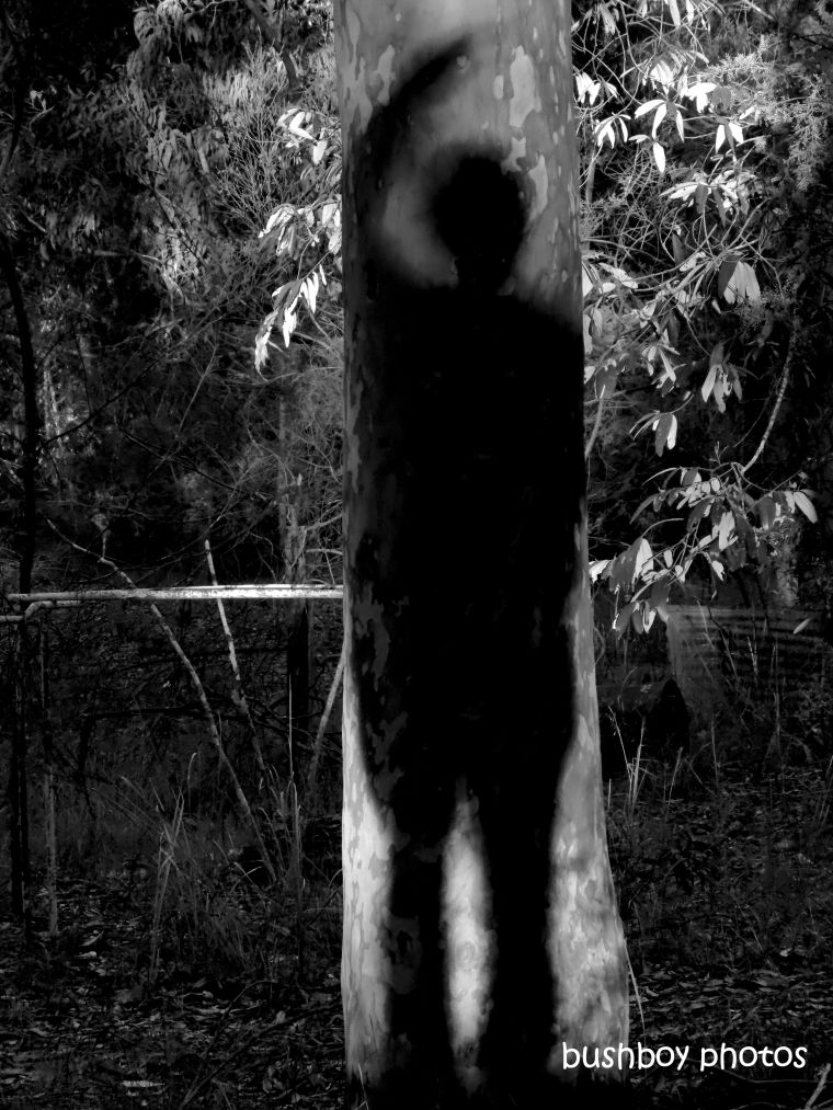 190712_blog_challenge_blackandwhite_shadows_tree_me1