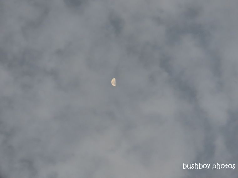 moon_half_clouds_named_caniaba_august 2019