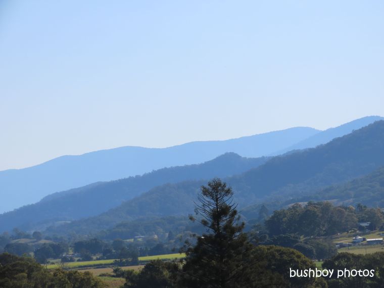 mountains_blue_layers_named_murwillumbah_august 2019