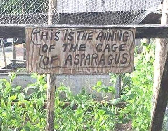 sign_asparagus