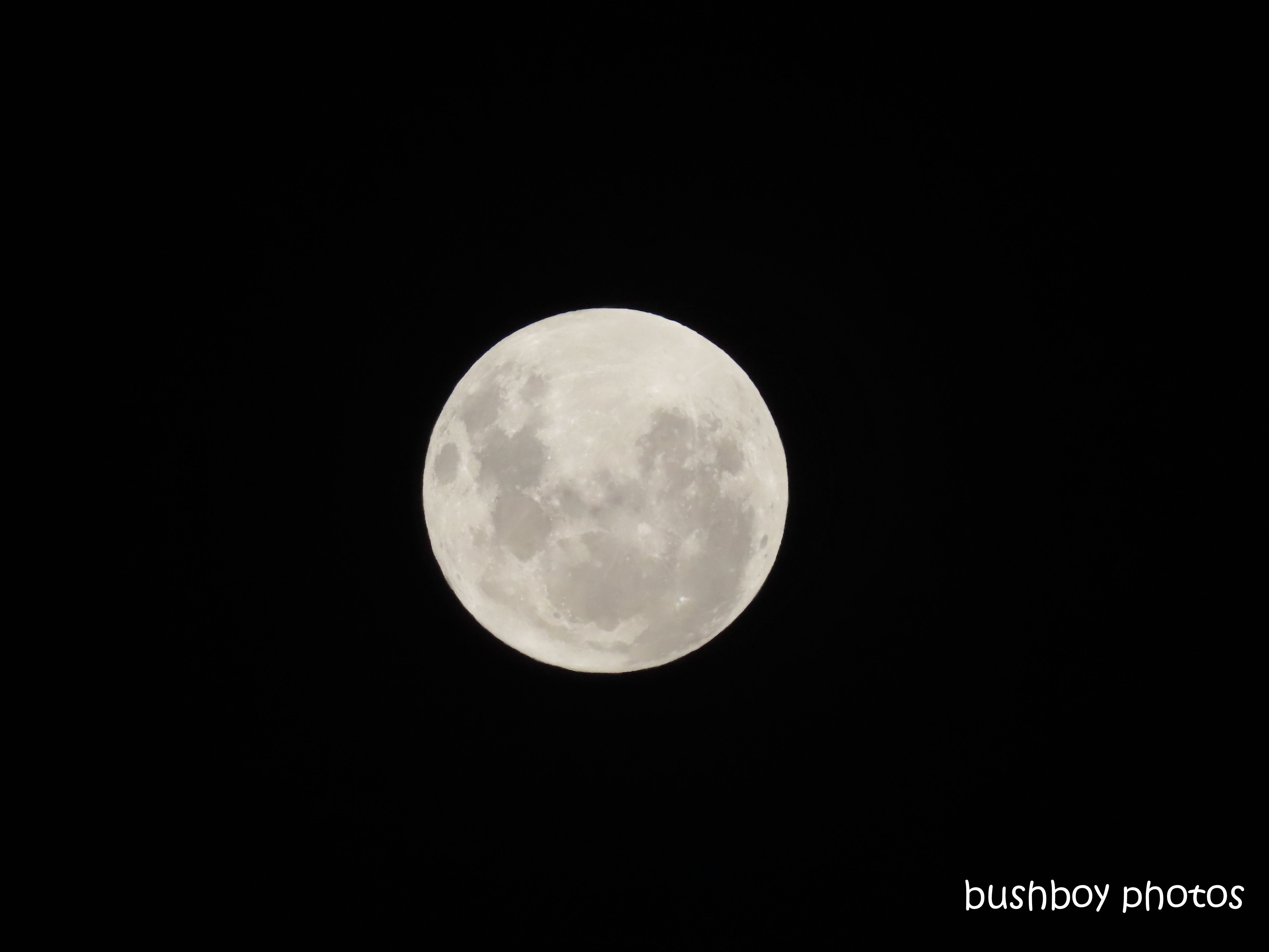 full moon_named_home_jackadgery_nov 2019