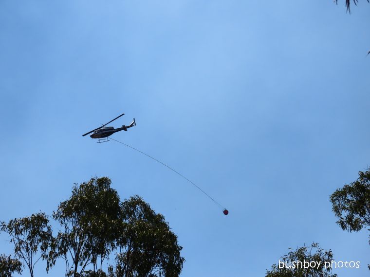 helicopter_water_close_durranbah_blog_fire_post_dec 2019