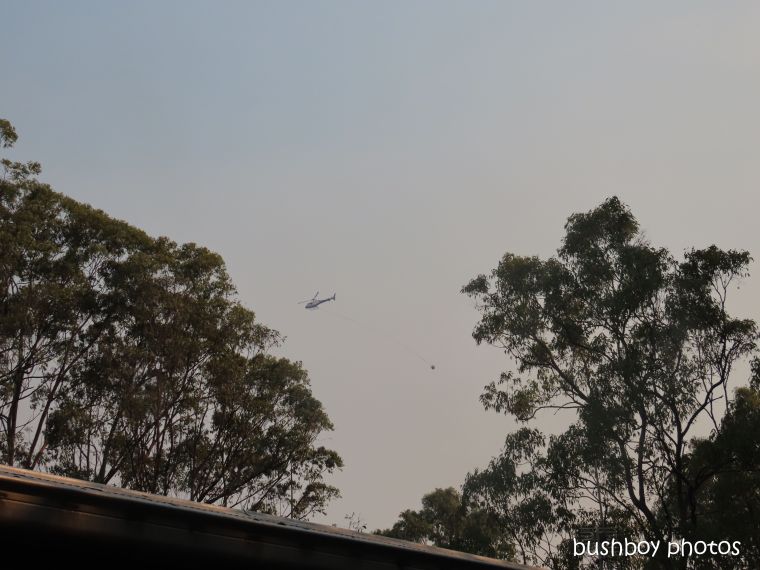 helicopter_water_durranbah_blog_fire_post_dec 2019